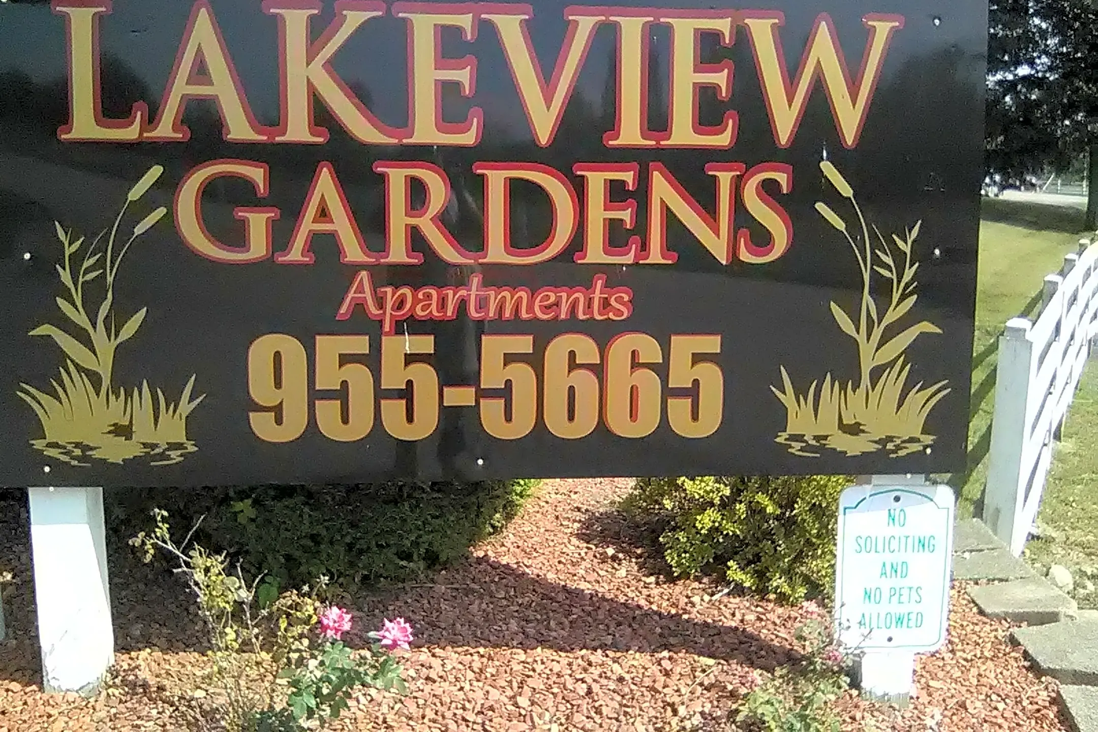 Pool - Lakeview Garden Apartments - Shepherdsville, KY