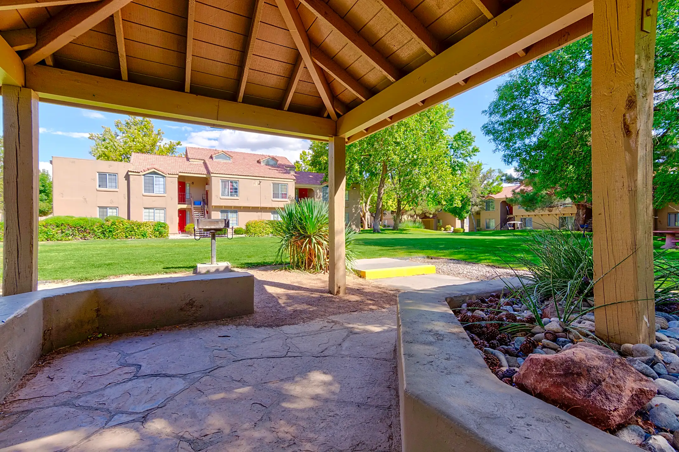 Cinnamon Tree Albuquerque, NM 87108