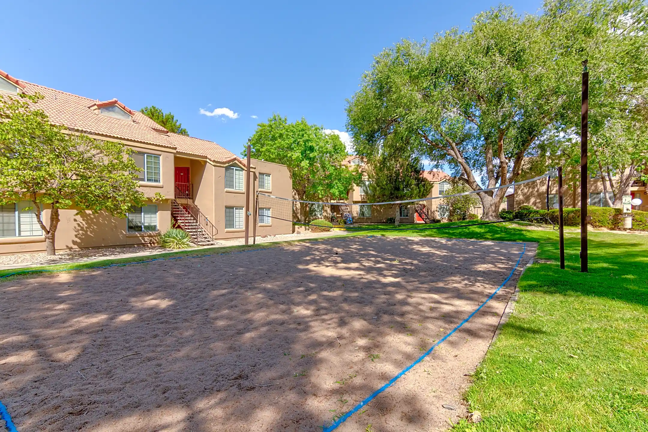 Cinnamon Tree Albuquerque, NM 87108