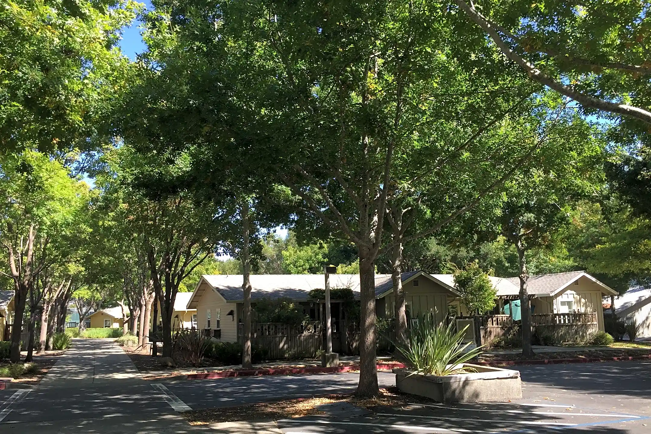 Rotary Valley Senior Village Apartments San Rafael, CA 94903