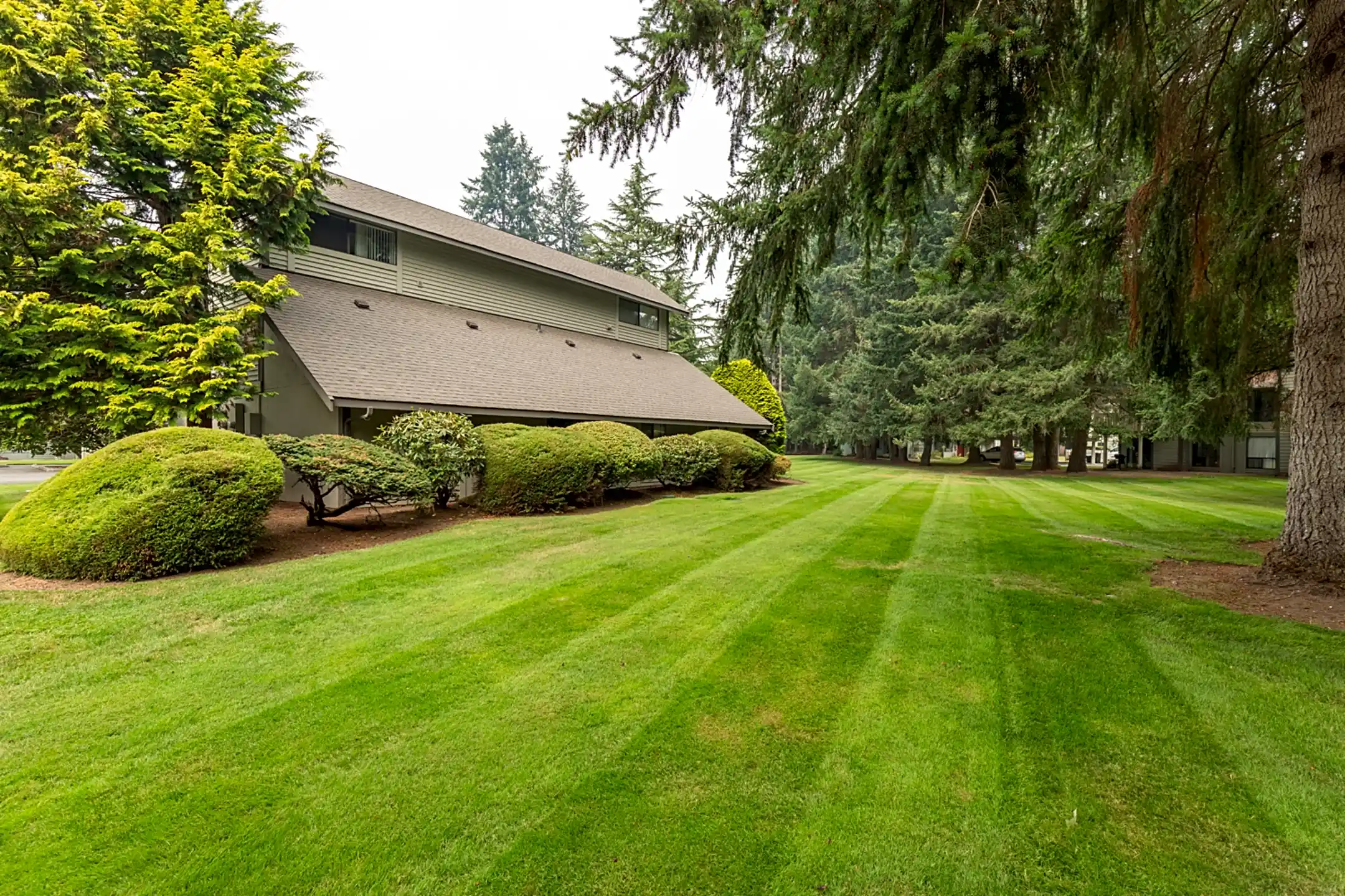 Wilderness West Apartments Olympia, WA 98501