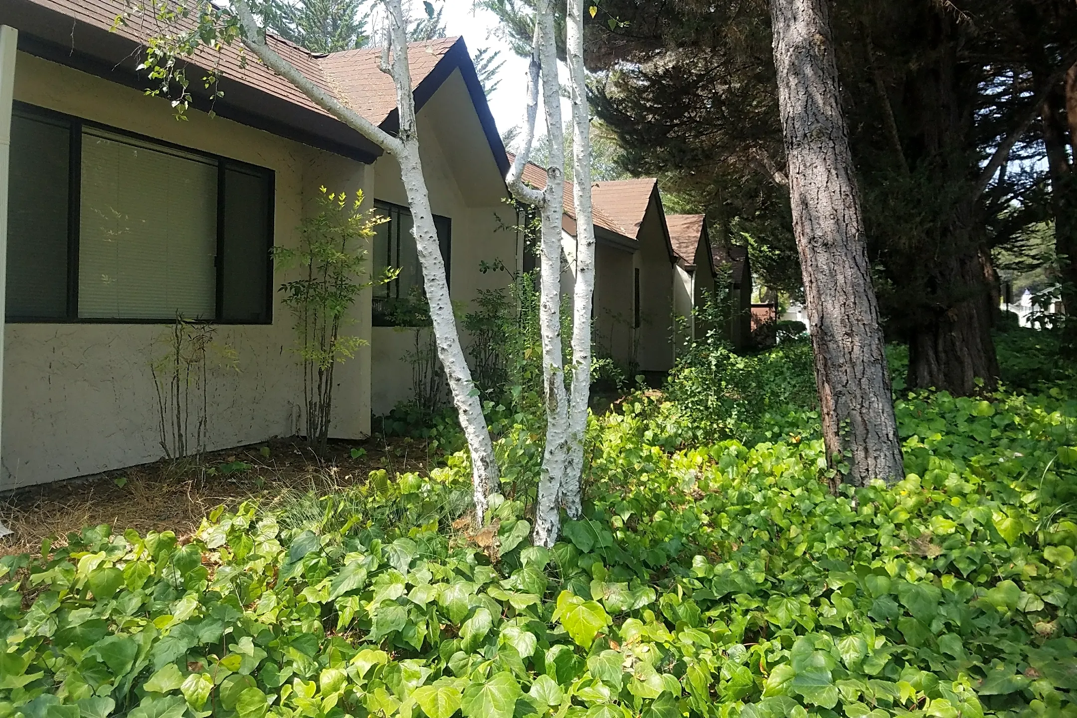 Santa Cruz Senior Apartments