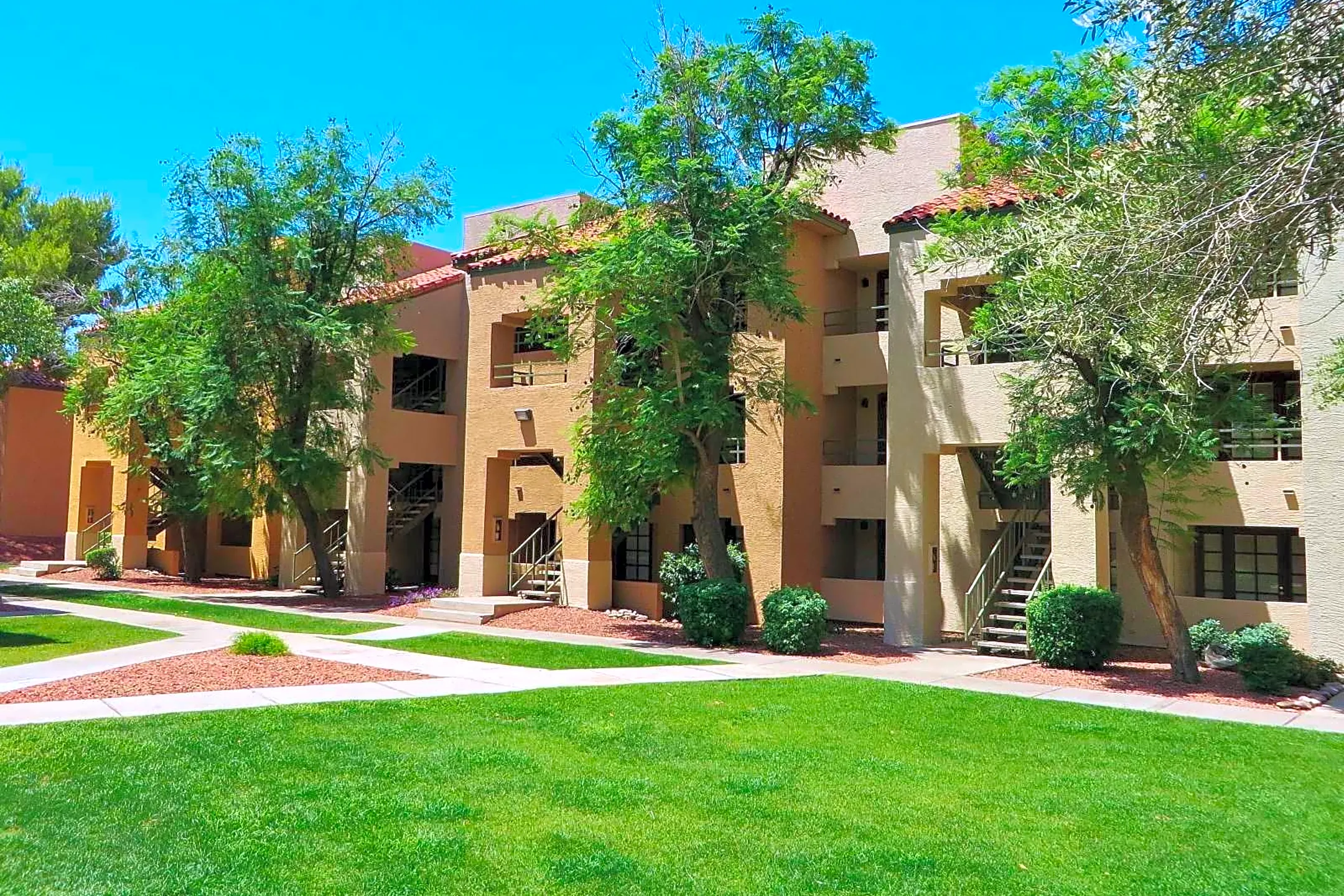 Olive Tree - 6201 W Olive Ave | Glendale, AZ Apartments for Rent | Rent.