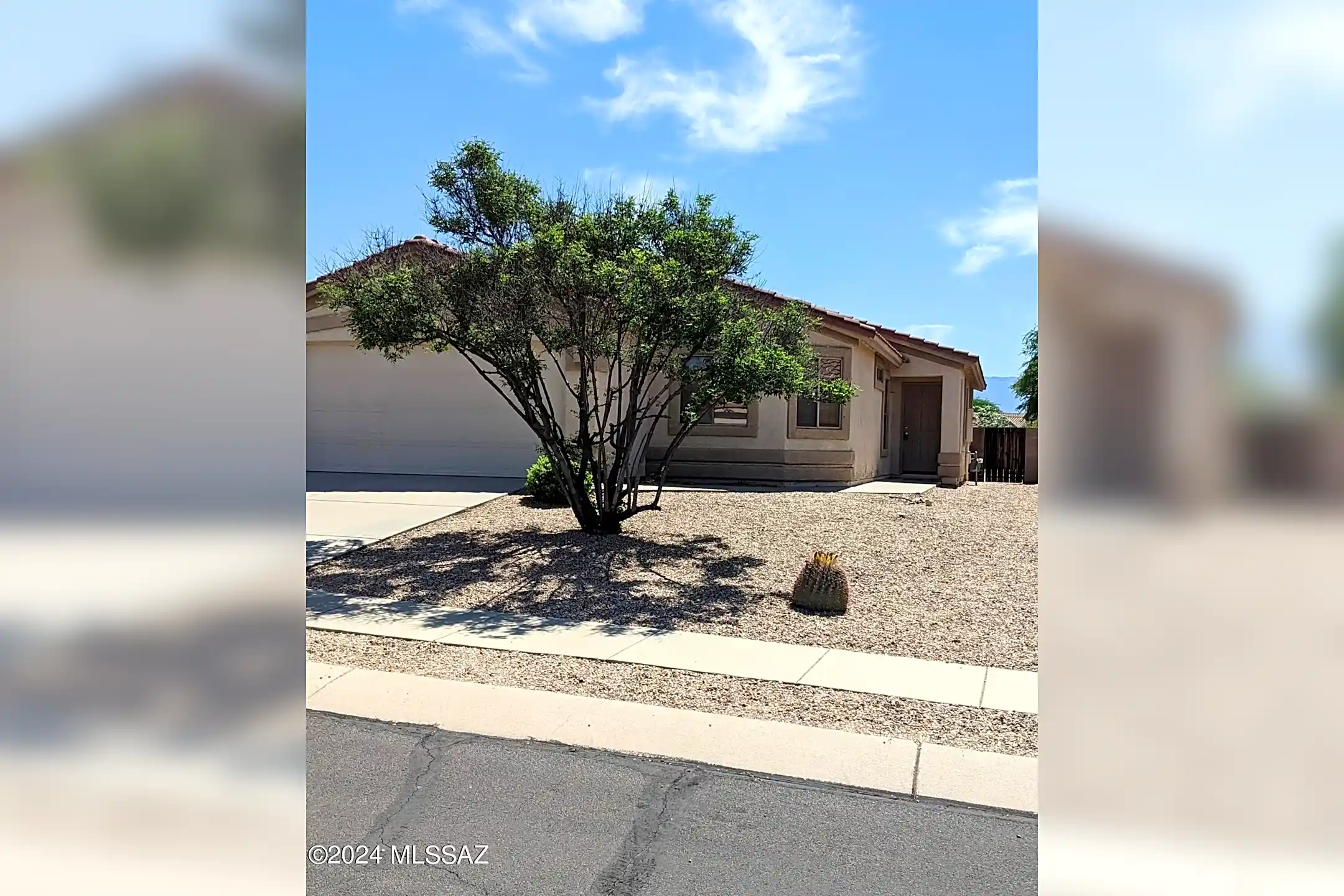 12388 N Globe Mallow Pl Marana, AZ Houses for Rent Rent.