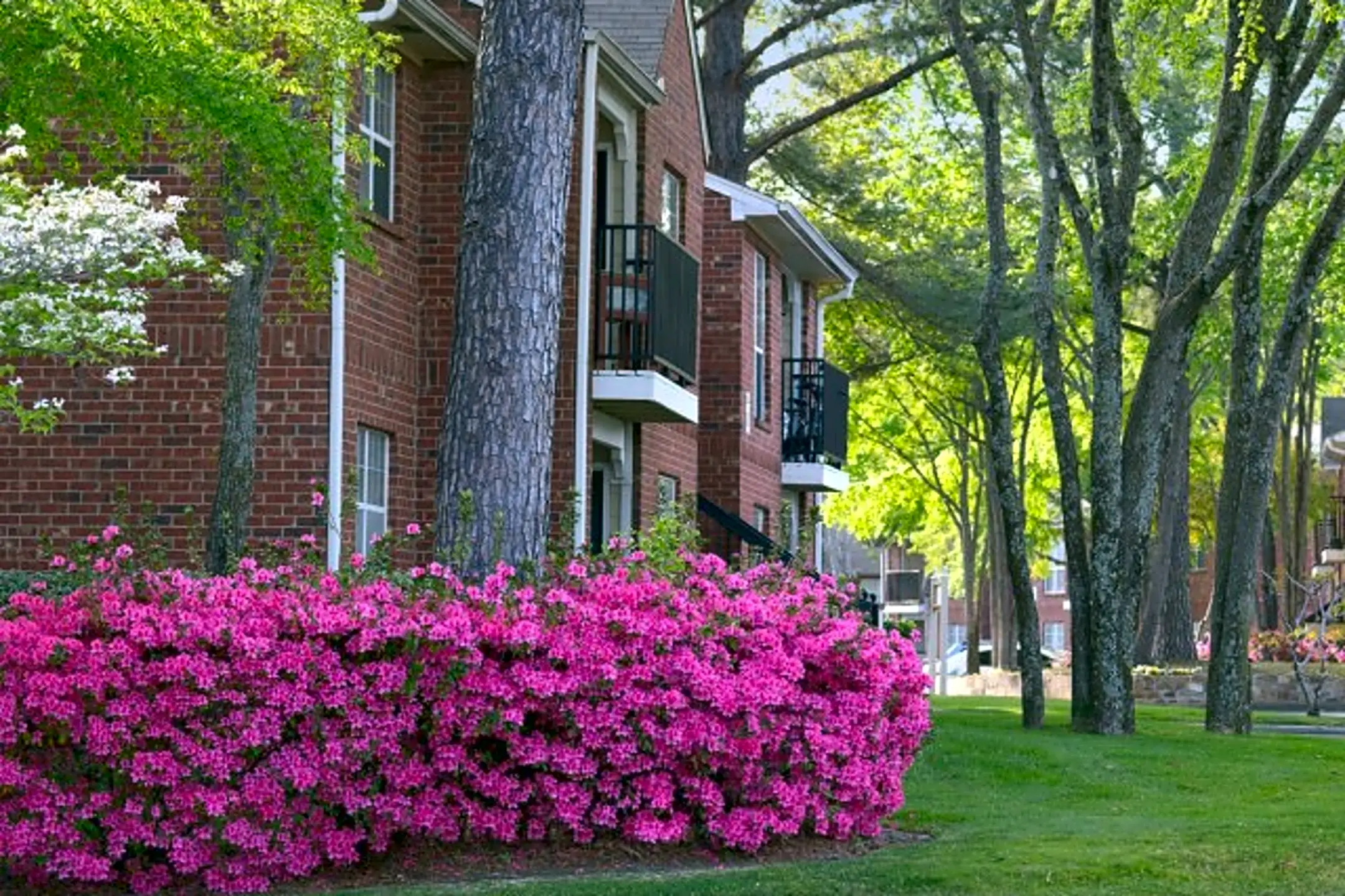 Quail Creek Apartments 4901 Kinsey Dr Tyler, TX Apartments for Rent