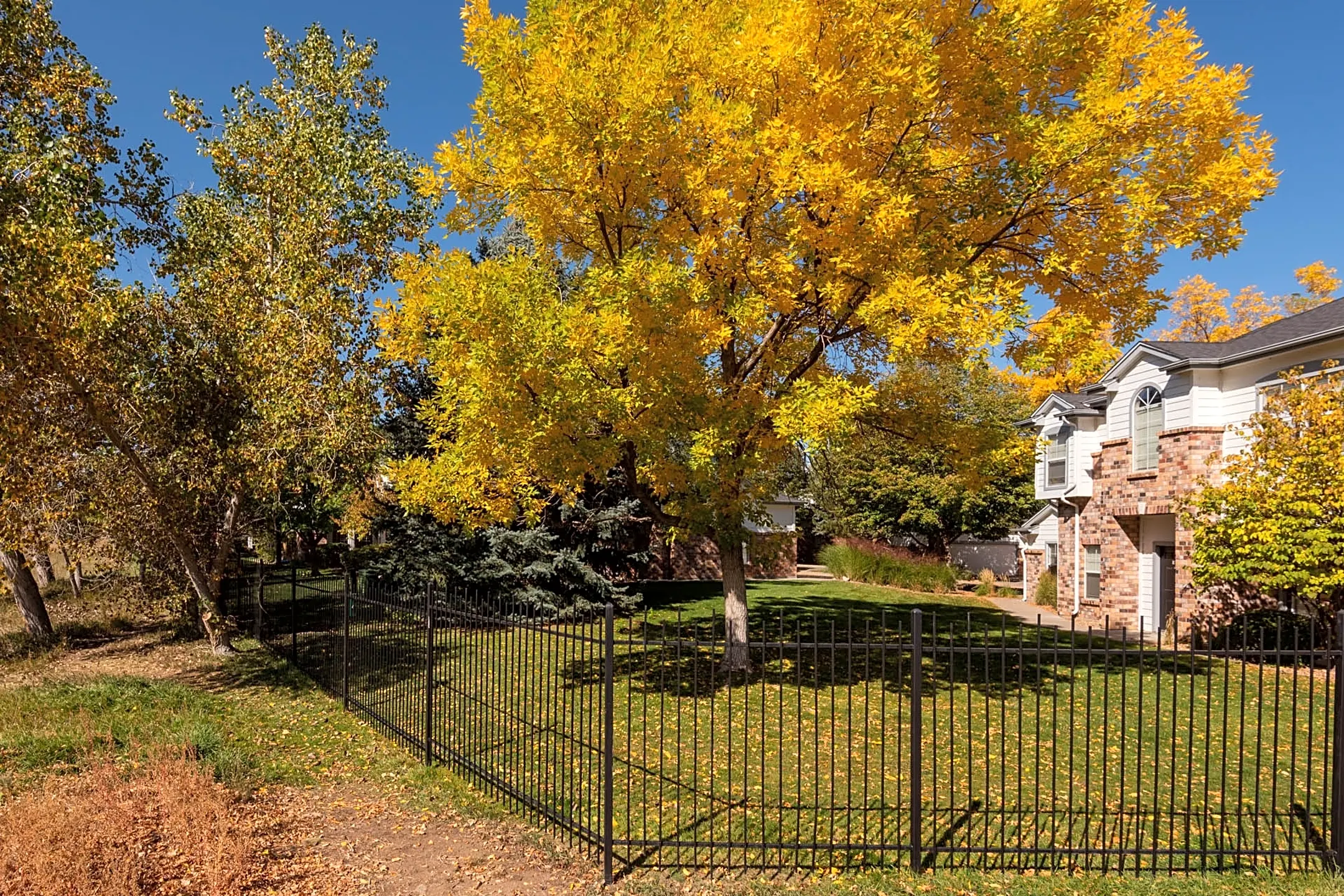 Windsor Townhomes and Apartments - Lakewood, CO