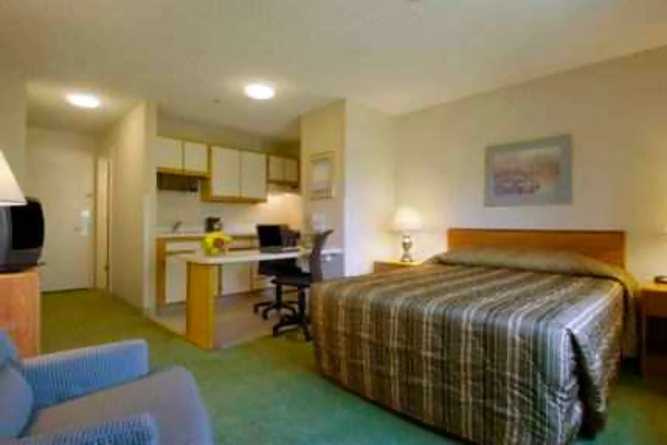 Furnished Studio - Lexington - Lexington, KY