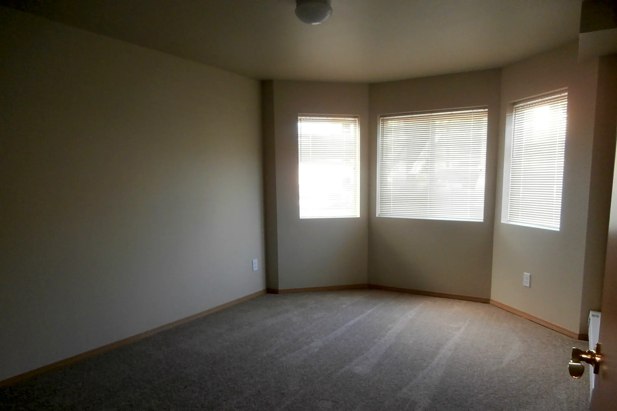 Pimlico Pullman, WA 99163