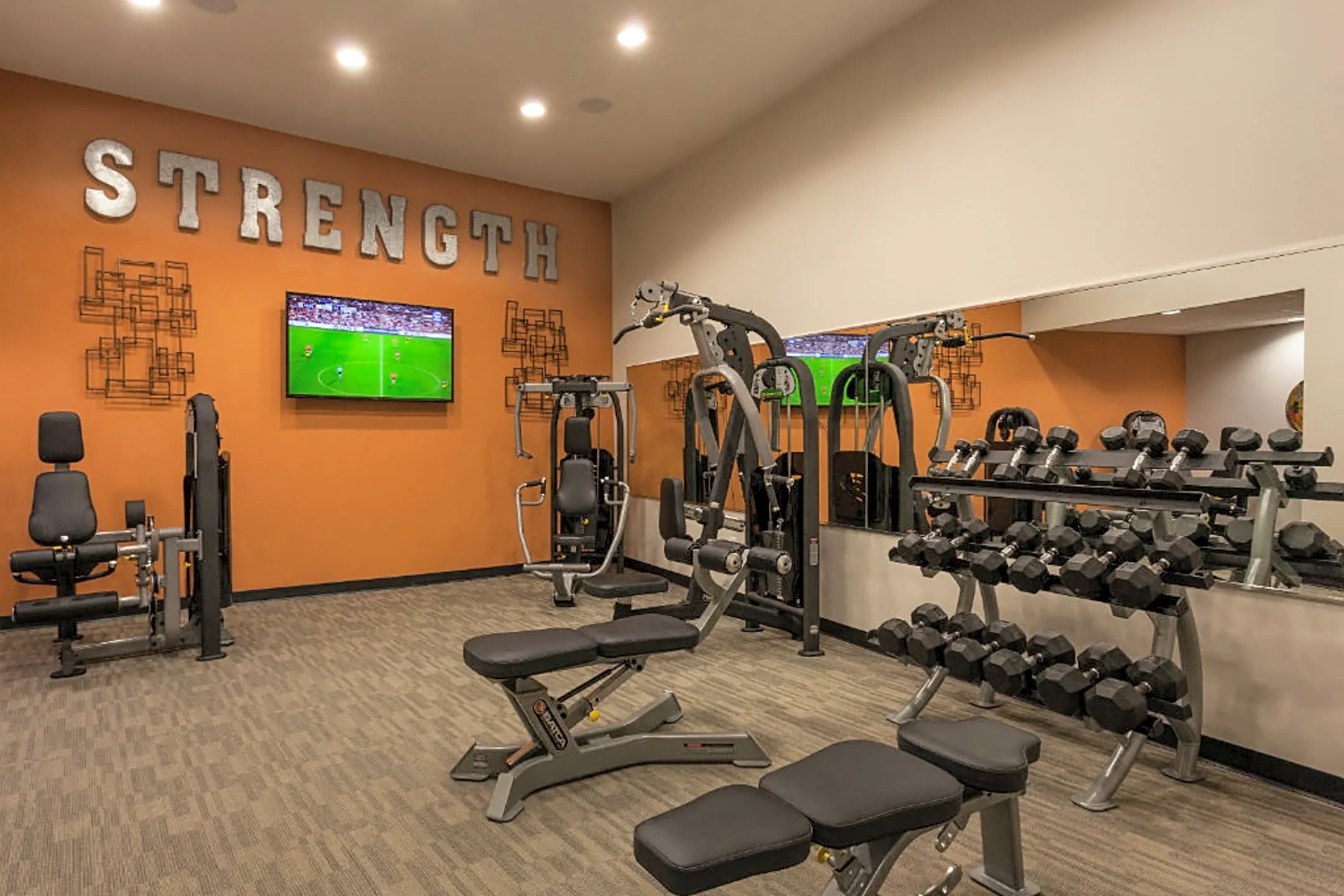 Fitness Weight Room - Ayrsley Lofts - Charlotte, NC
