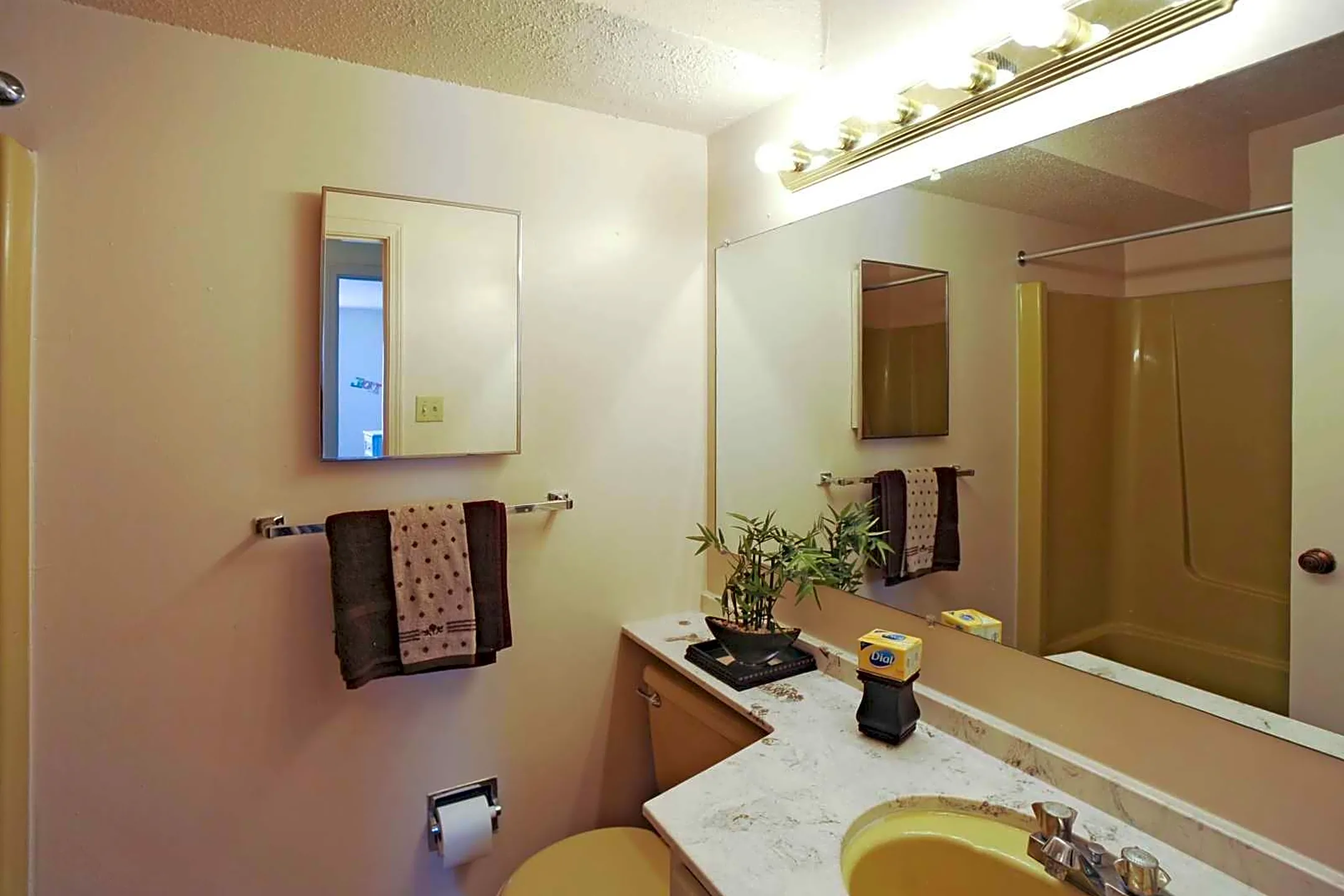 Bathroom - Fox Club Apartments - Indianapolis, IN