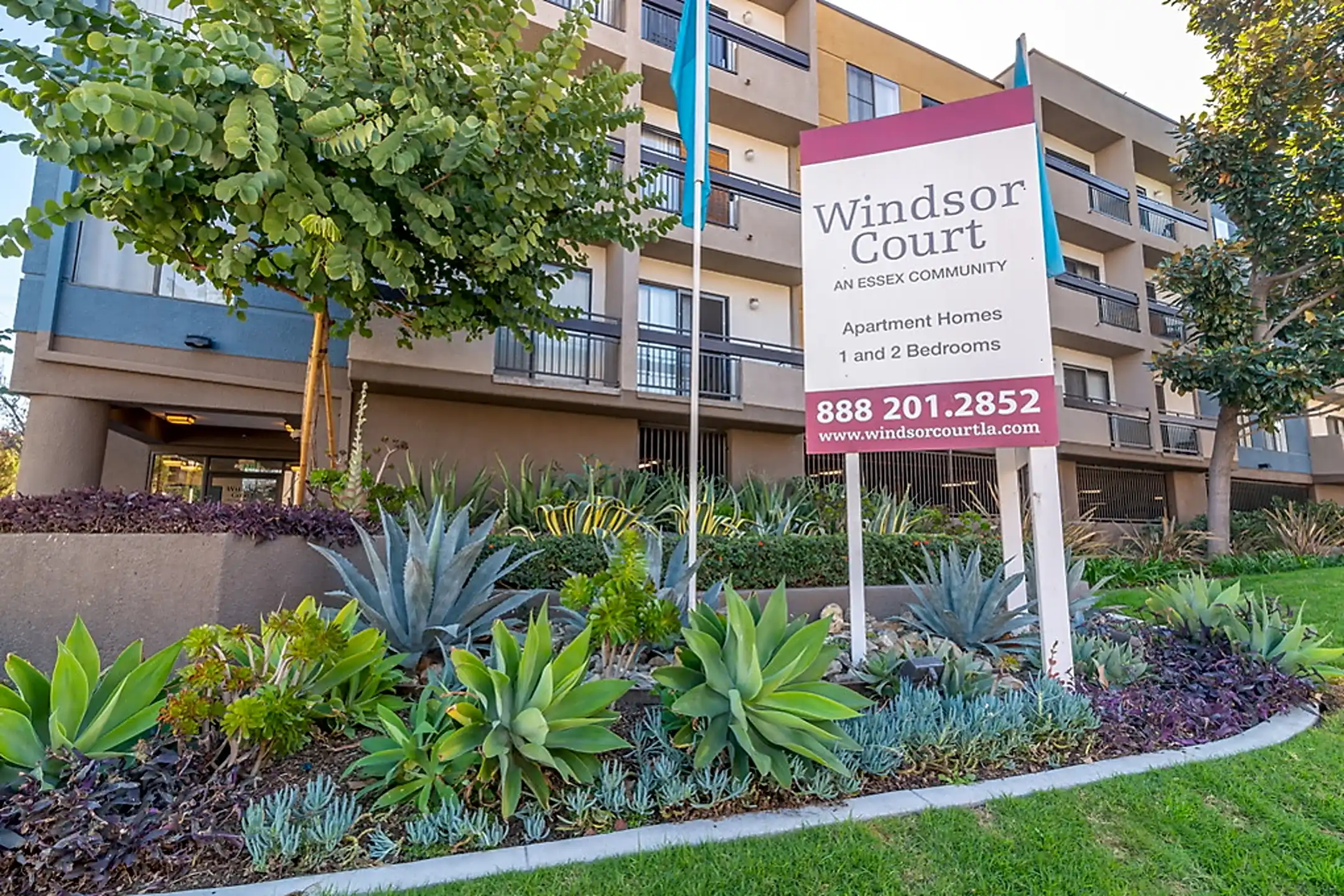 Windsor Court 900 Irolo Street Los Angeles CA Apartments for Rent