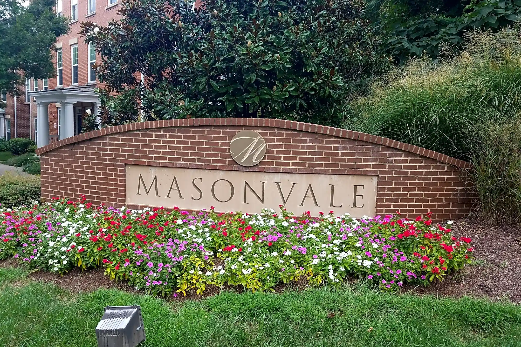 Pool - Masonvale - Fairfax, VA