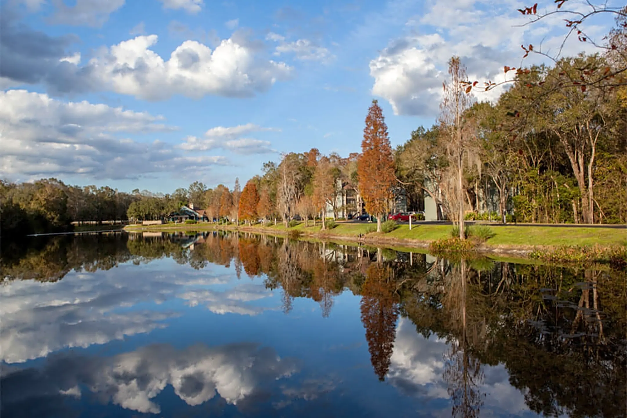 The Dawson Apartments Tampa, FL 33647