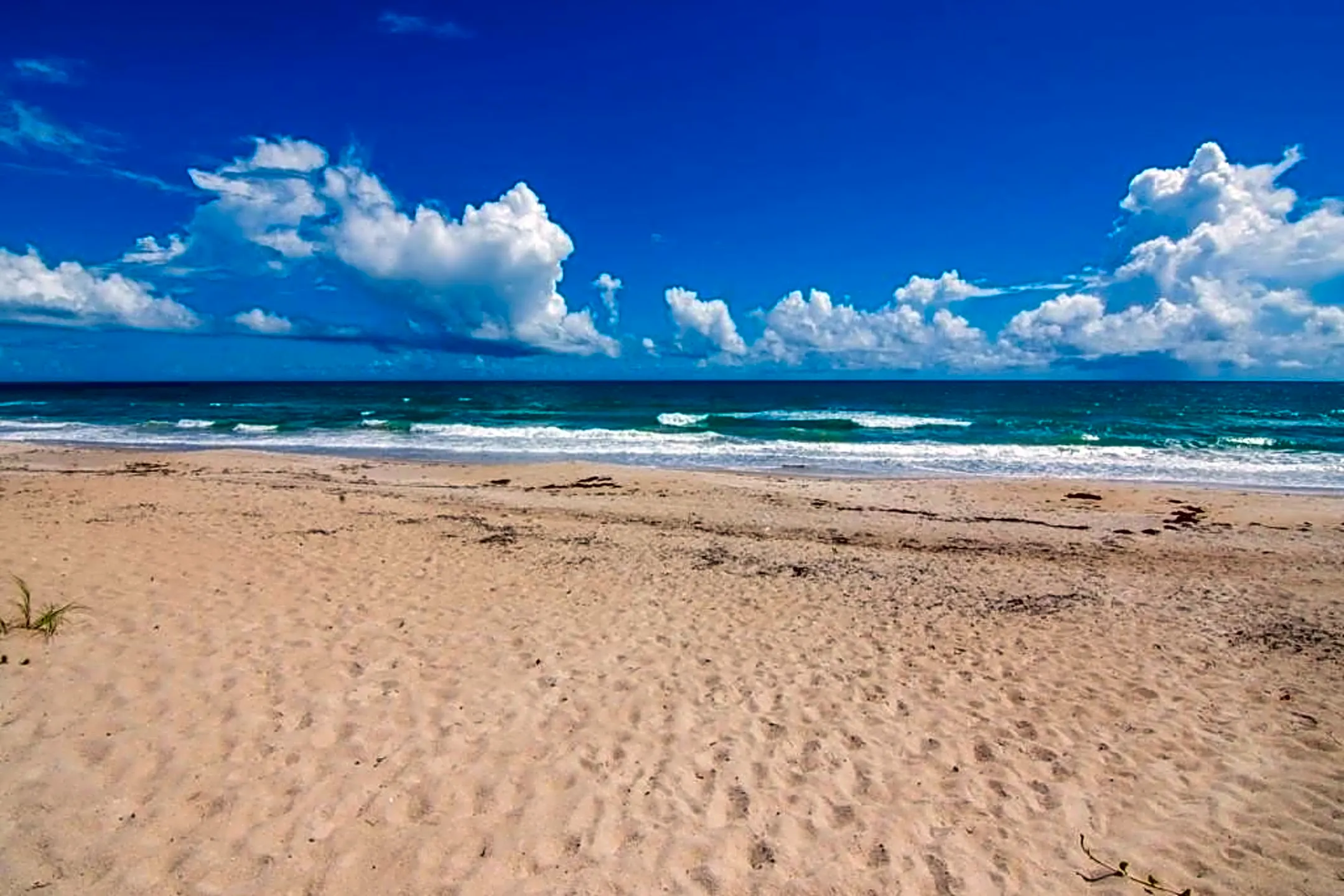 812 Flamevine Ln - Vero Beach, FL