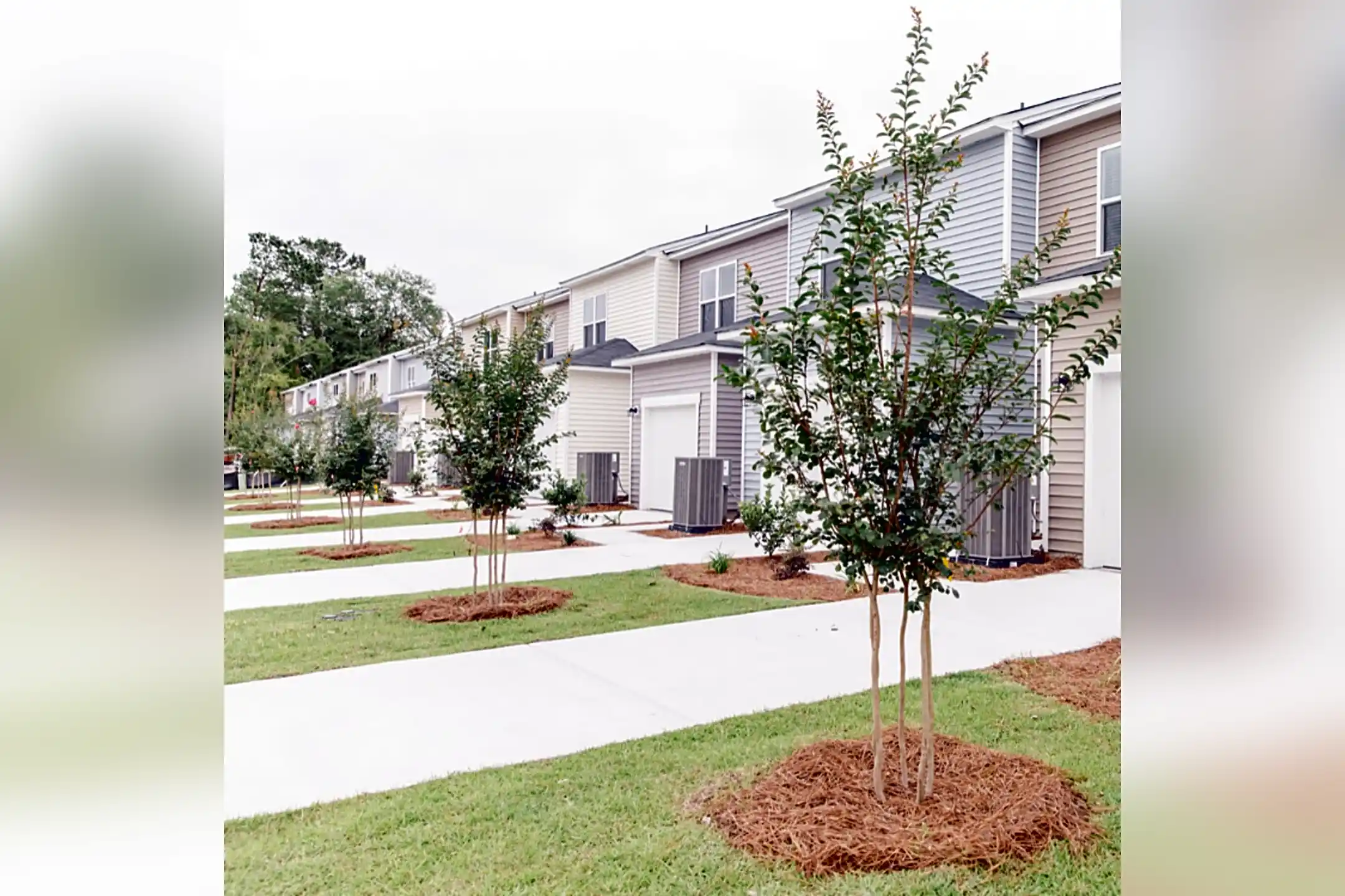 Covey Homes Wescott 9570 Eagle Pass Drive Summerville, SC