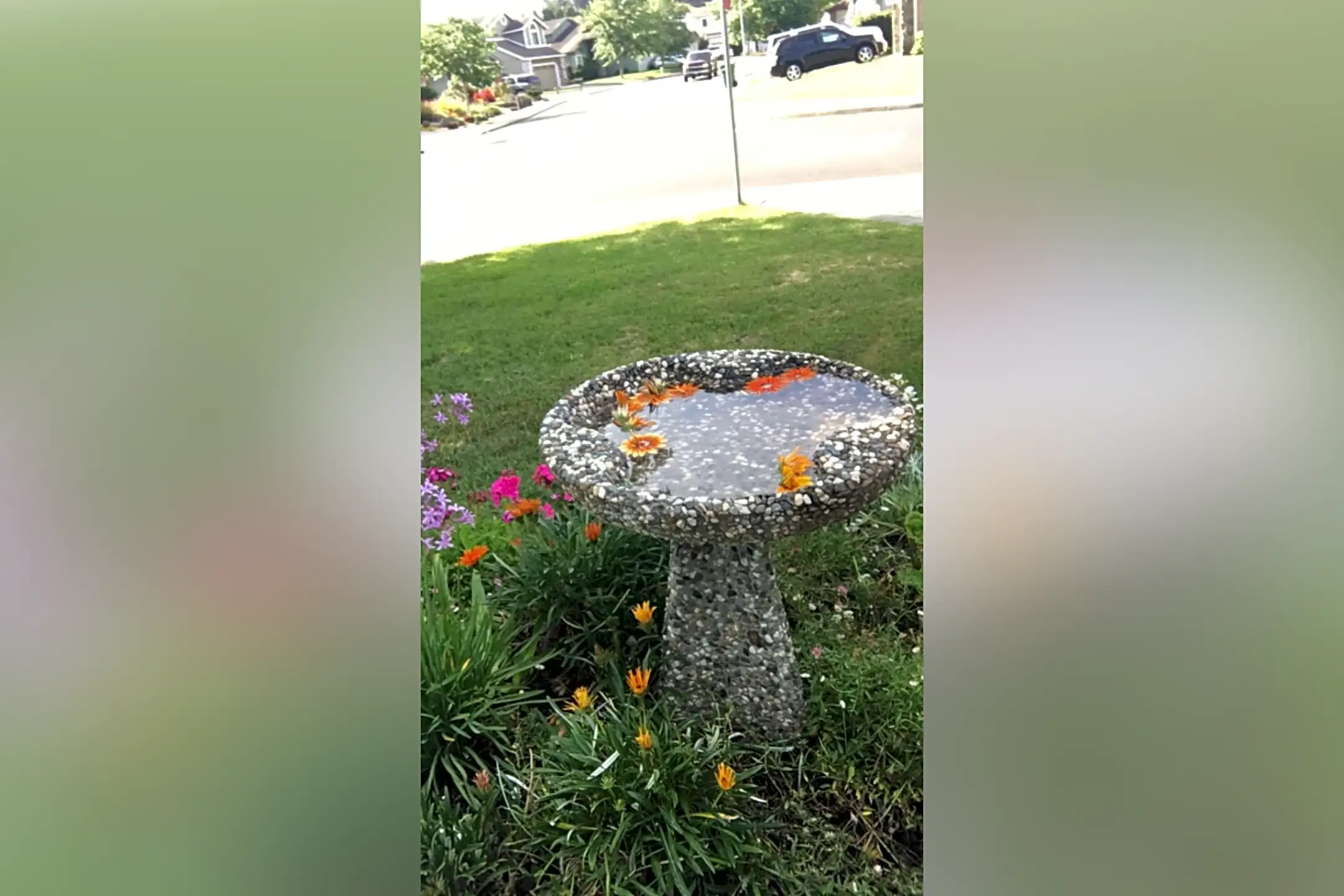 8167 La Plaza Cotati, CA Houses for Rent Rent.