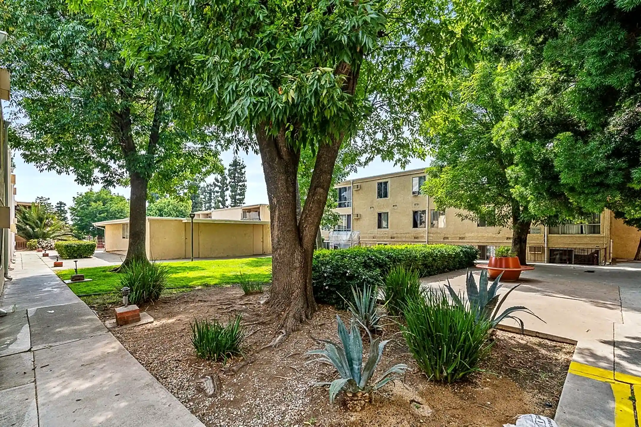 mountain-view-manor-12960-dronfield-ave-sylmar-ca-apartments-for