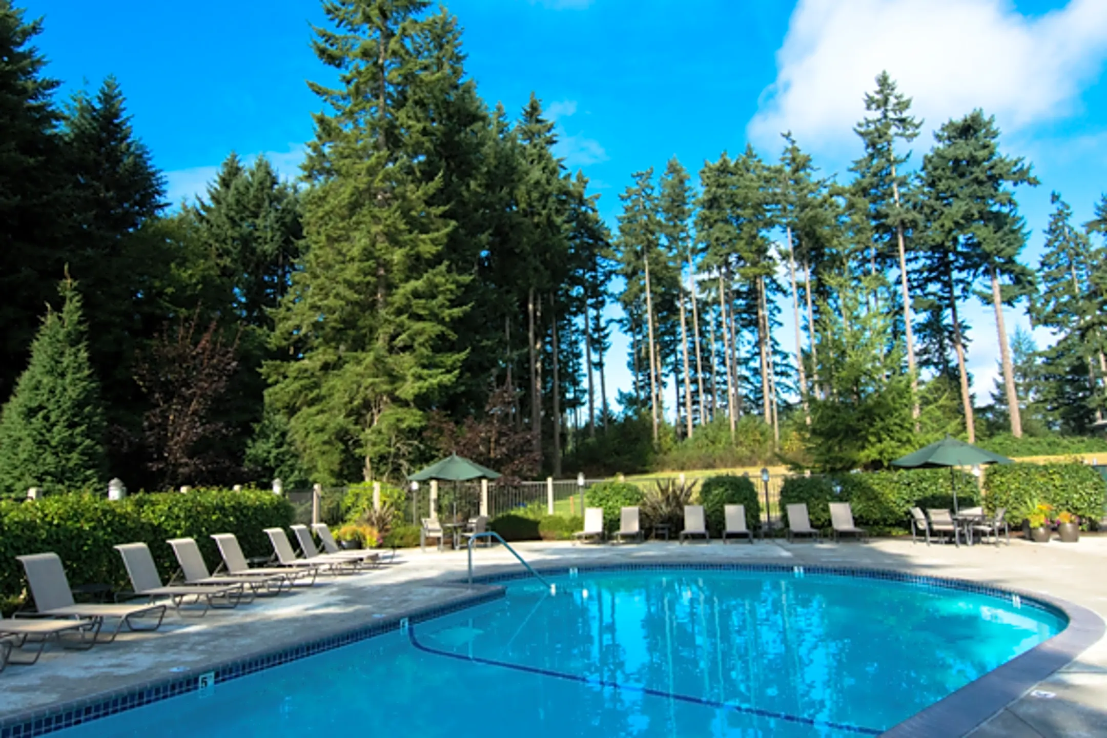 Cliffside Apartments Gig Harbor Reviews