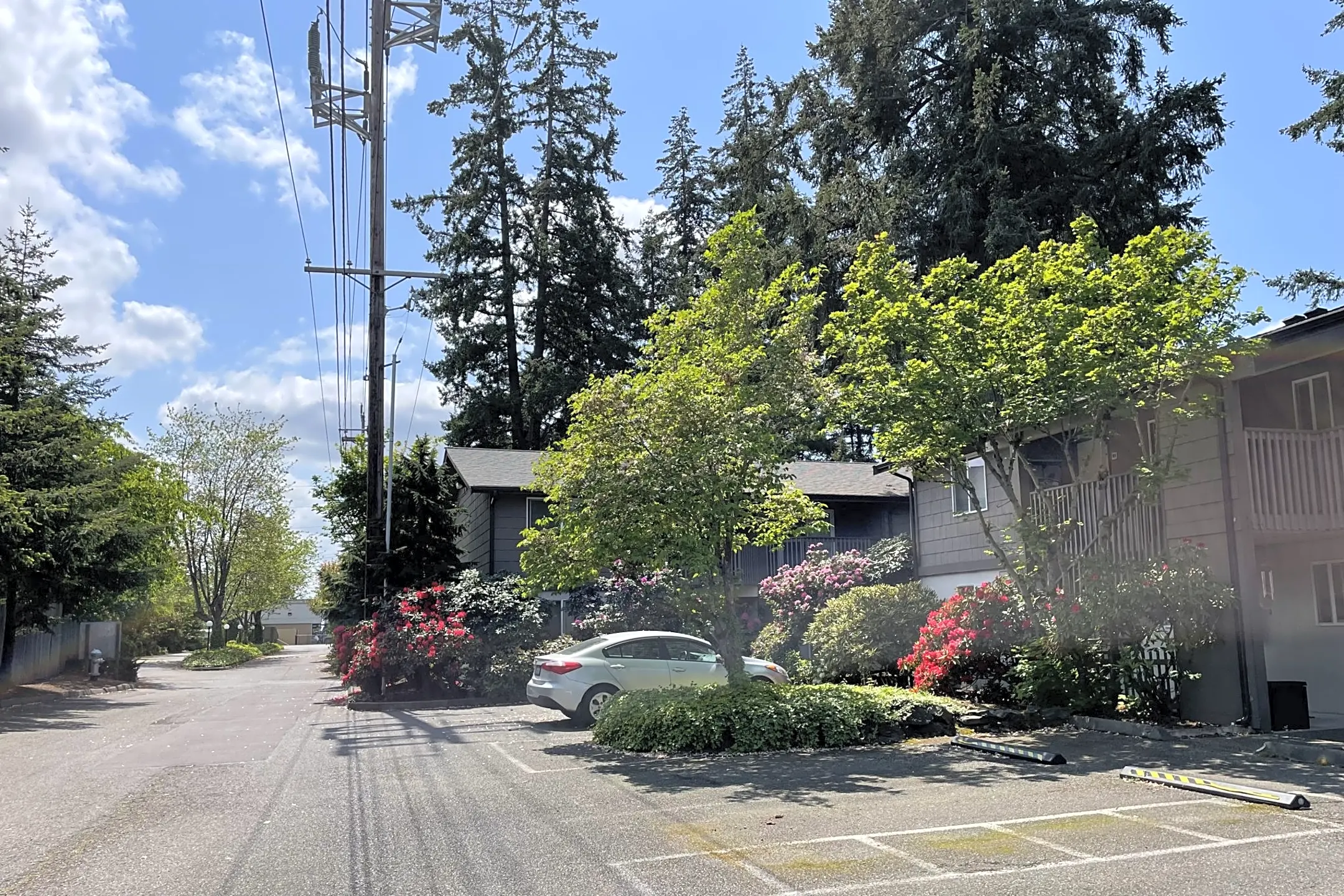 Building - Hidden Firs Apartments - Tacoma, WA
