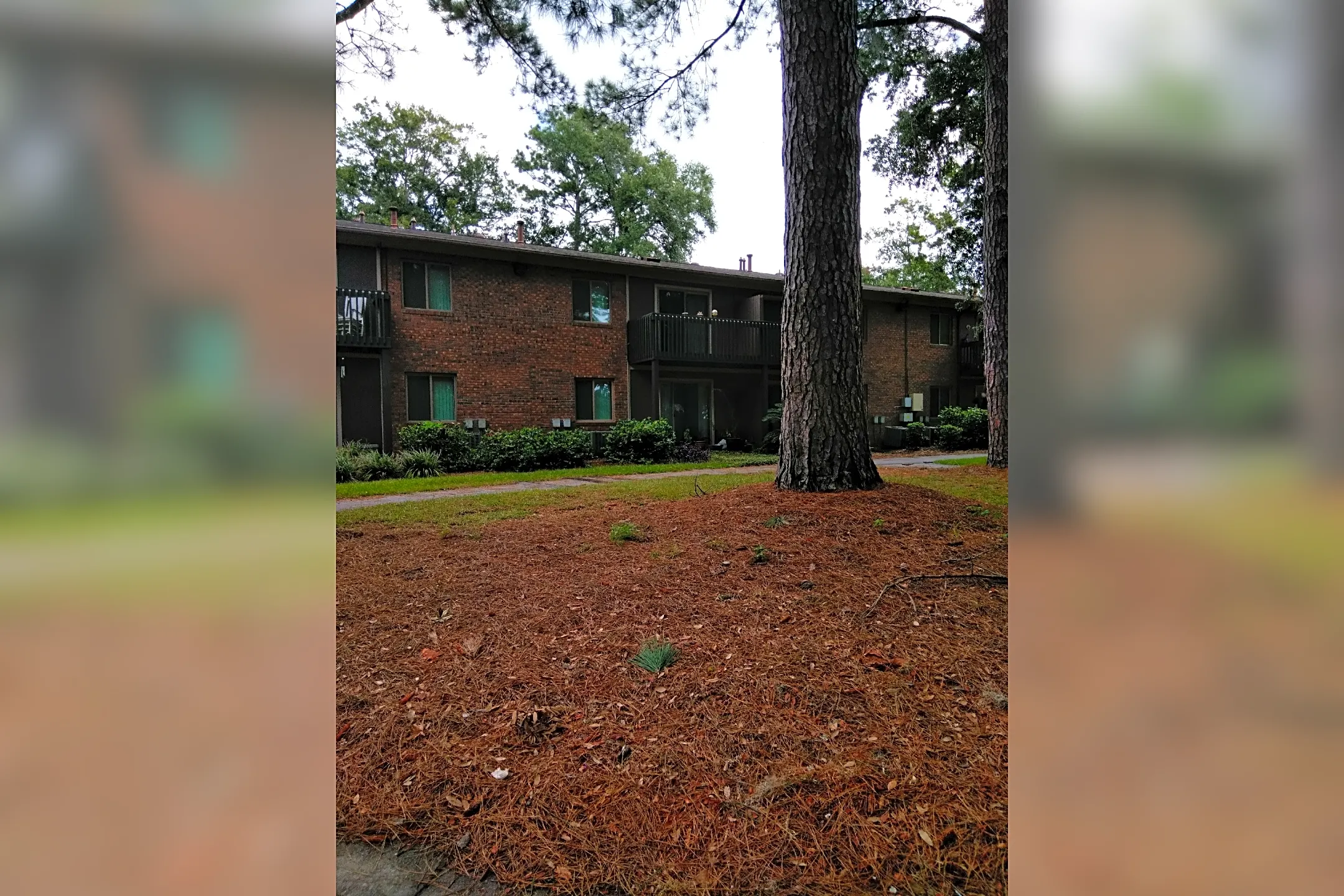 Mossy Oaks Apartments Beaufort, SC 29902