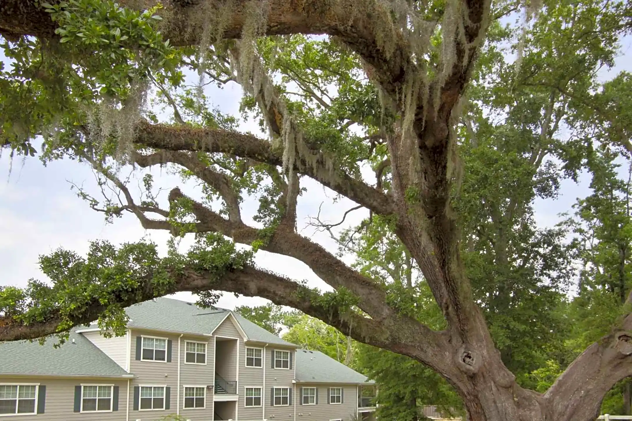 Building - Oakley at Saraland - Saraland, AL