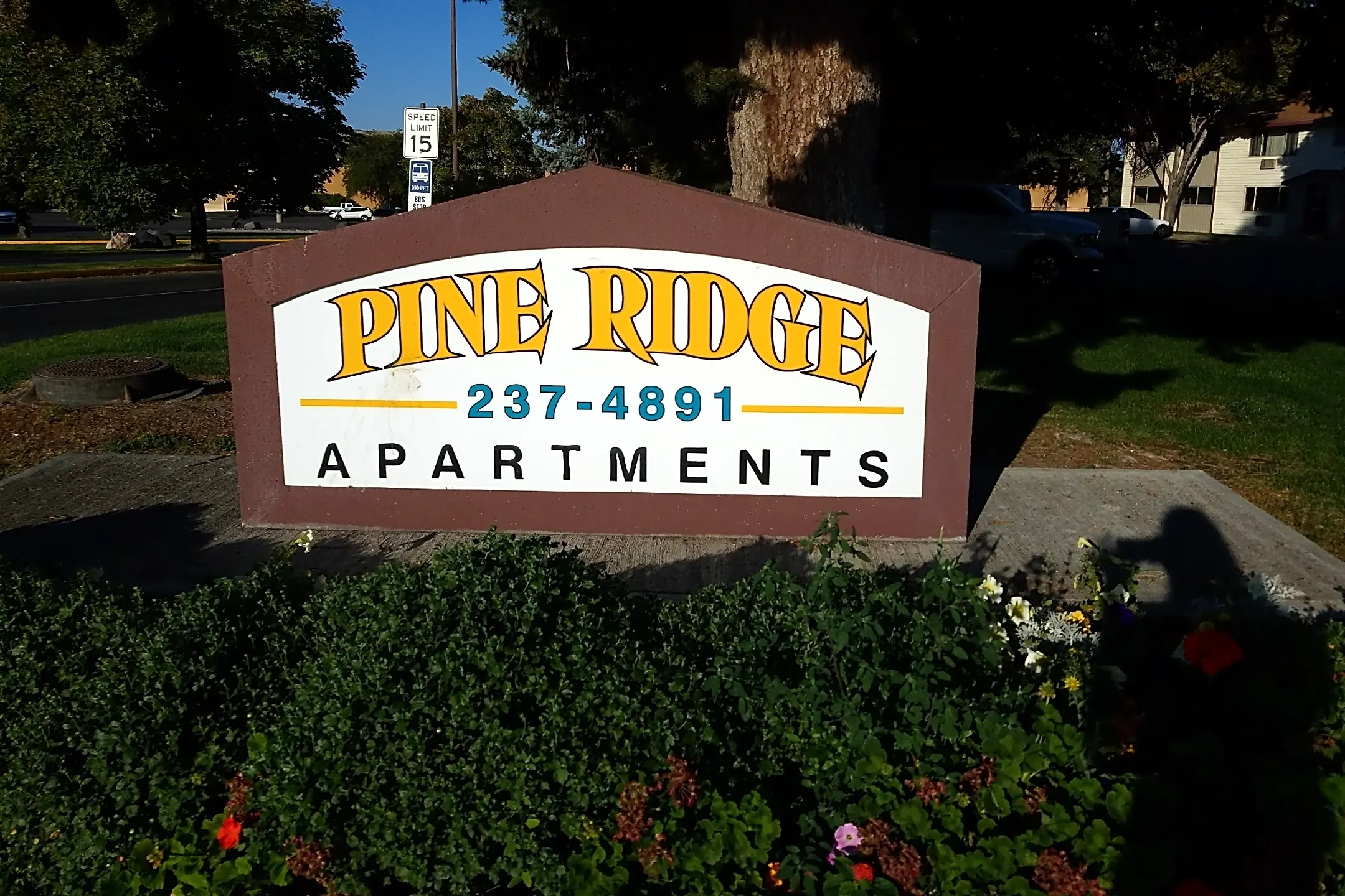 Pool - Pine Ridge Apartments - Chubbuck, ID