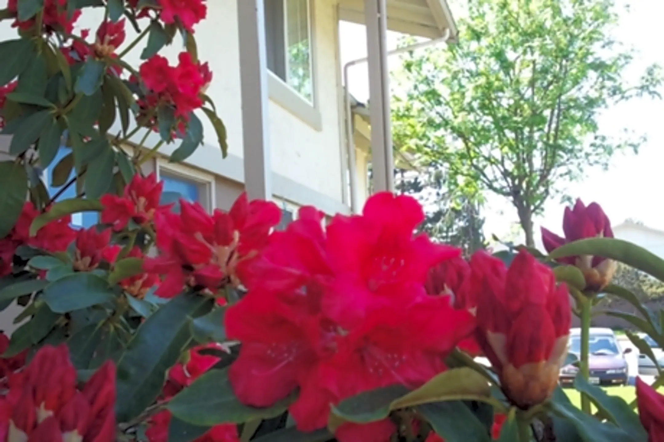 Arbor Park Apartments 200 S Laventure Rd Mount Vernon, WA