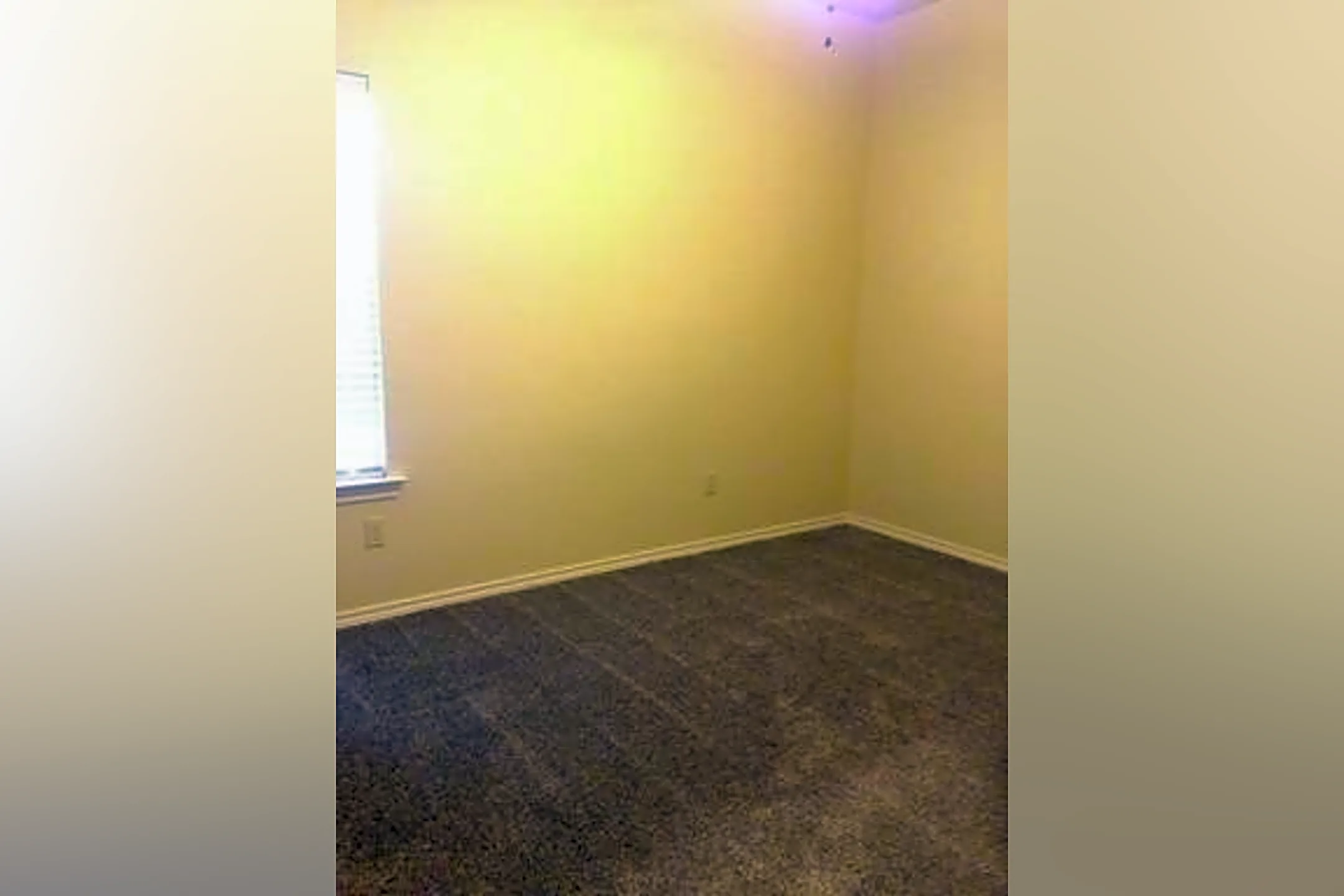1215 Donald Preston Dr Wolfforth, TX Apartments for Rent Rent.