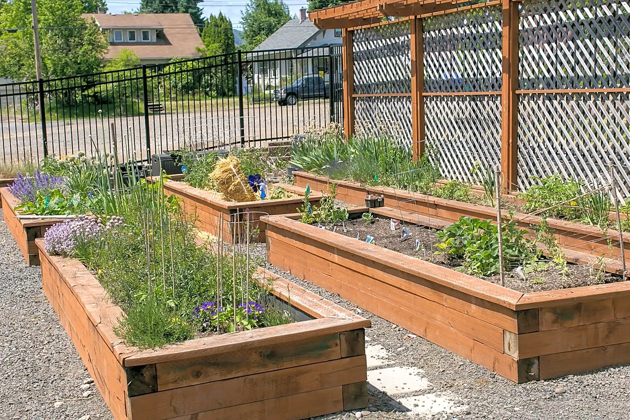 Jesse Quinn 1829 Pacific Ave Forest Grove, OR Apartments for Rent