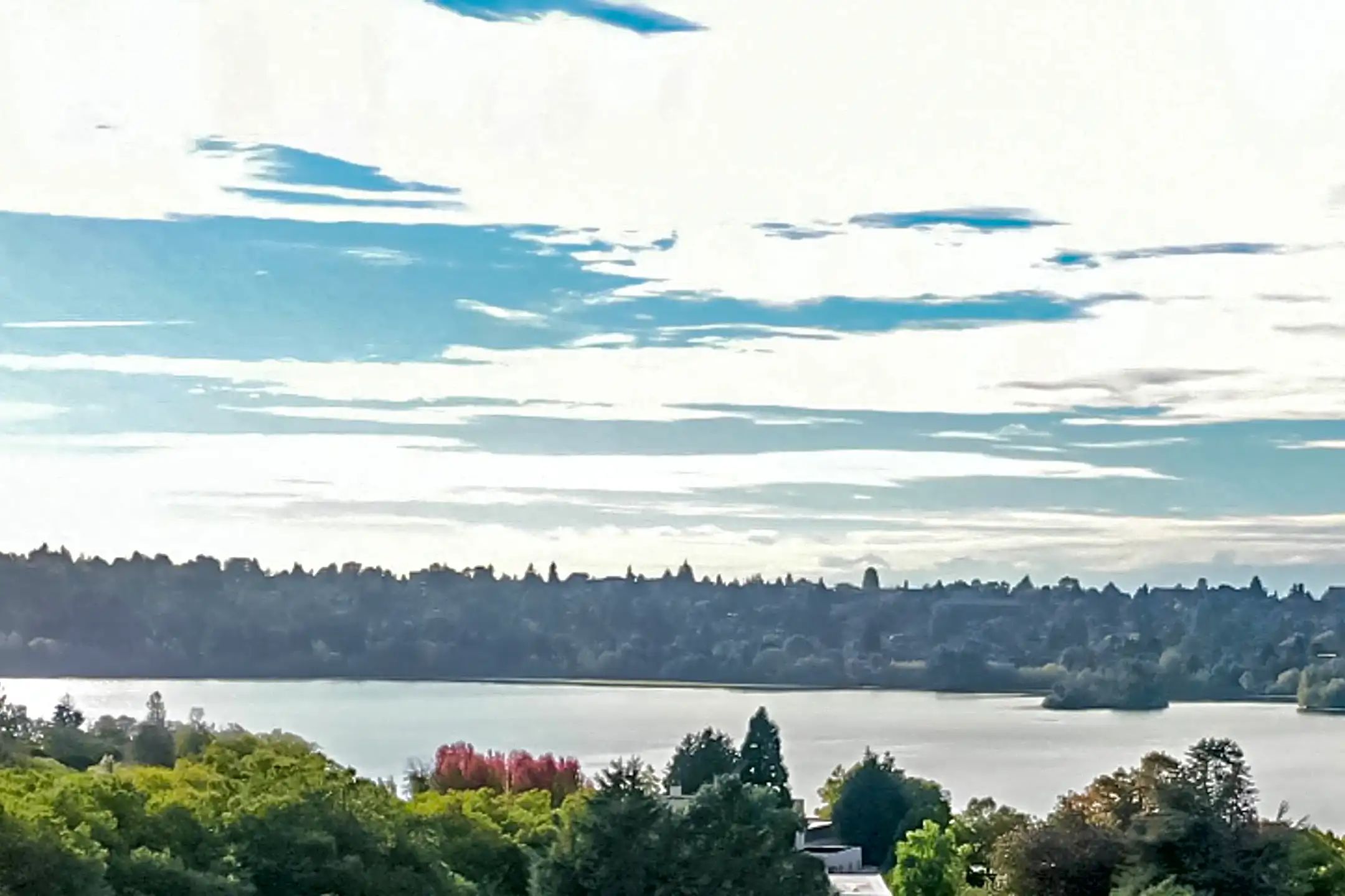 The Loop at Greenlake 407 NE 73rd St Seattle, WA Apartments for