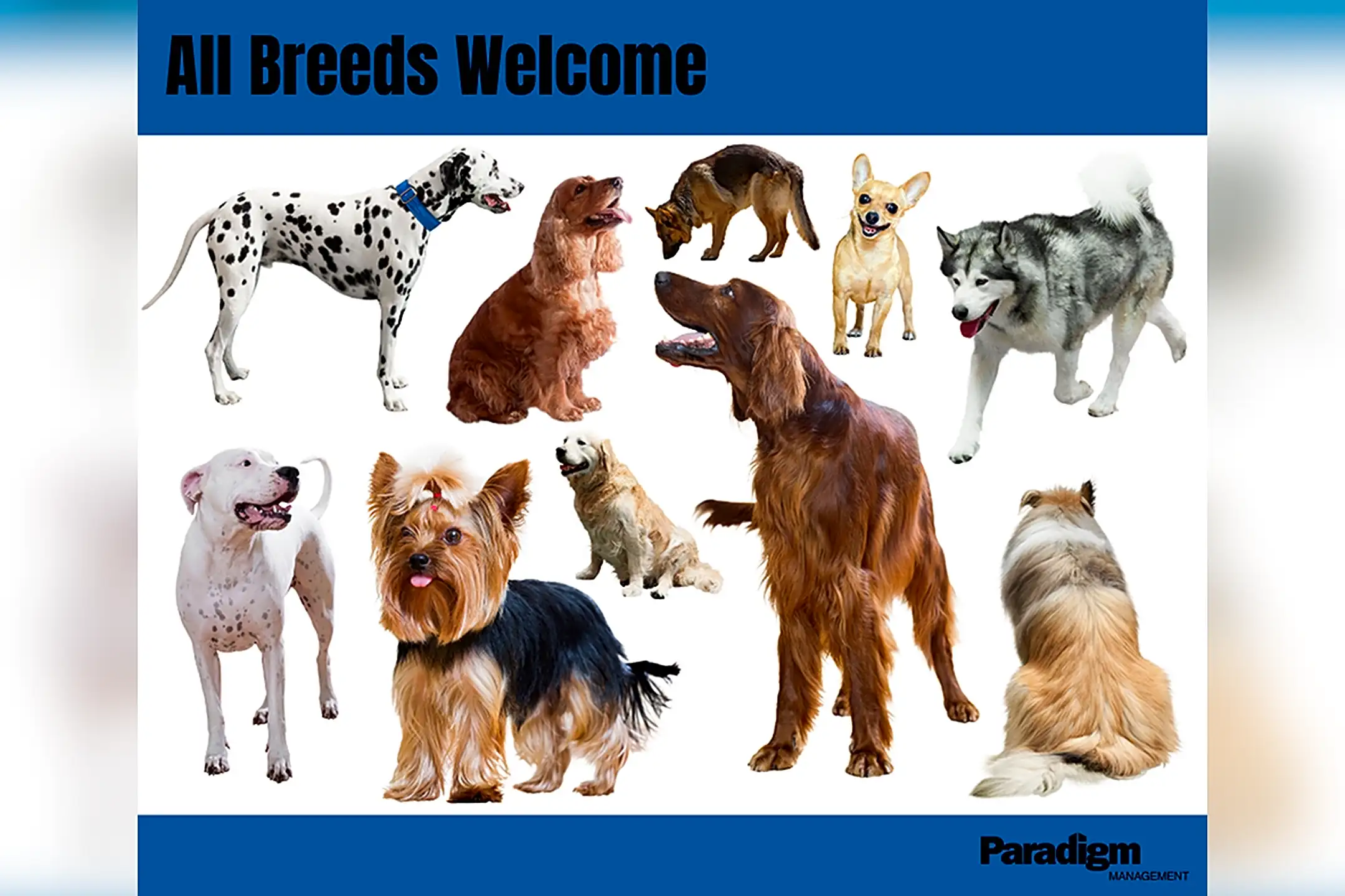 The Meridian at Grosvenor Station Rockville, MD 20852