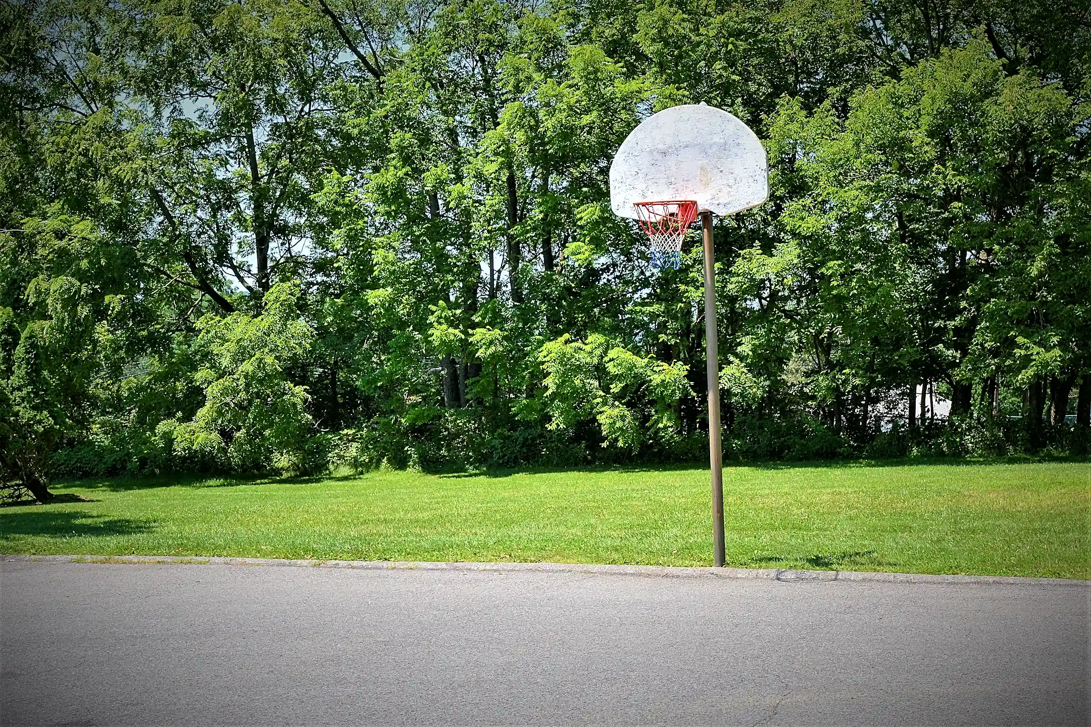 Grampian Hills Apartments Williamsport, PA 17701