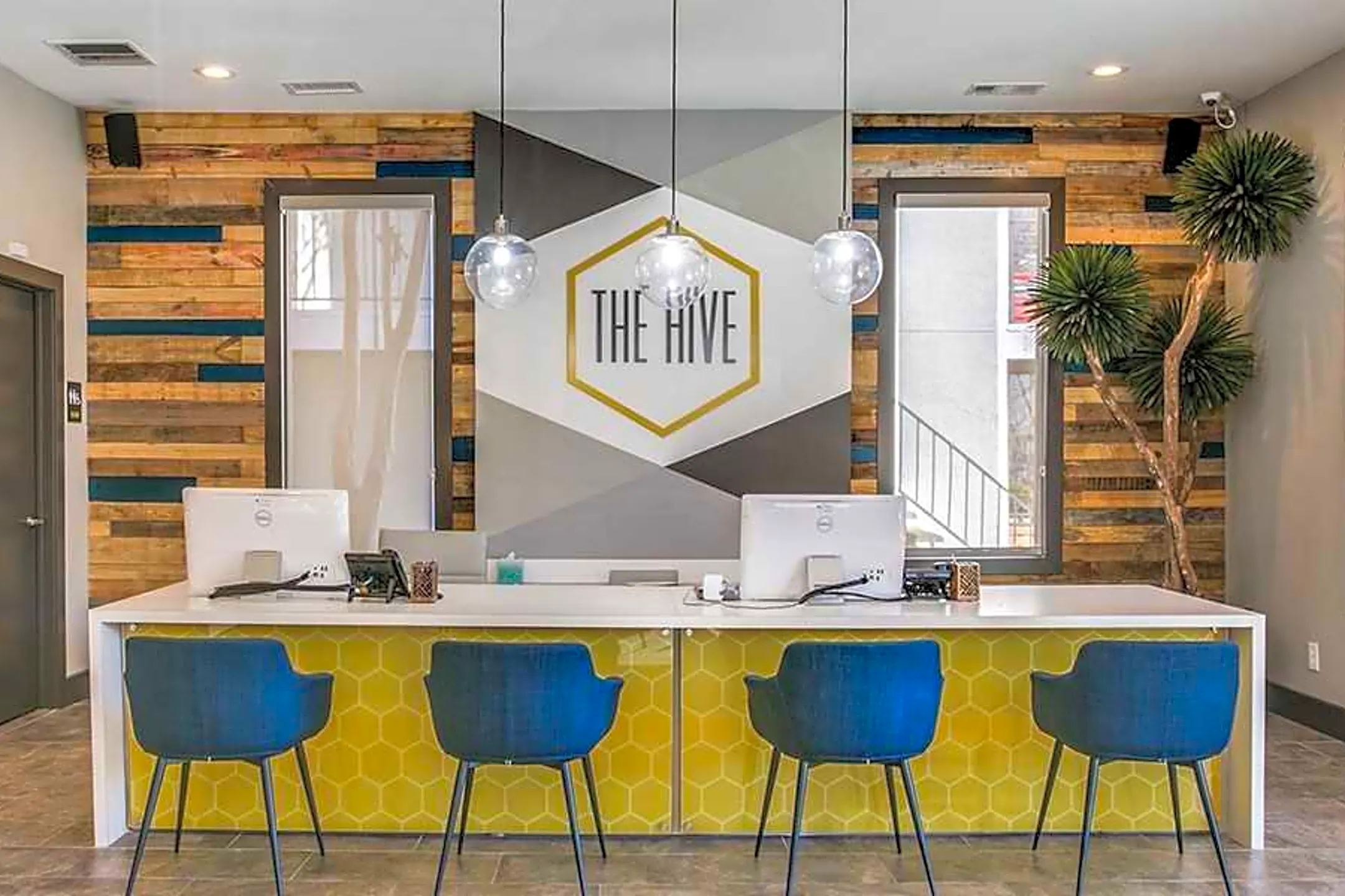 Hive Apartments - 6003 Abrams Rd | Dallas, TX for Rent | Rent.