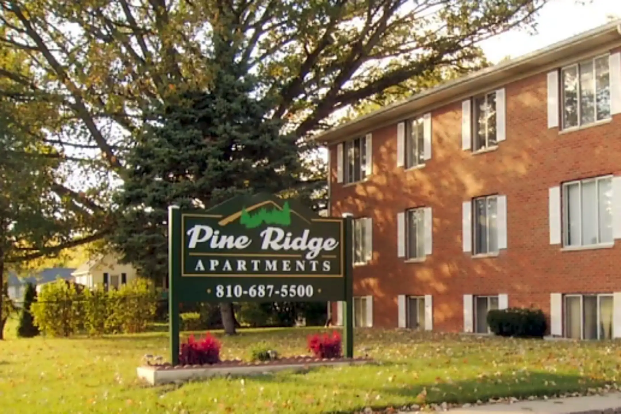 528 Pine St Apartments Clio, MI 48420