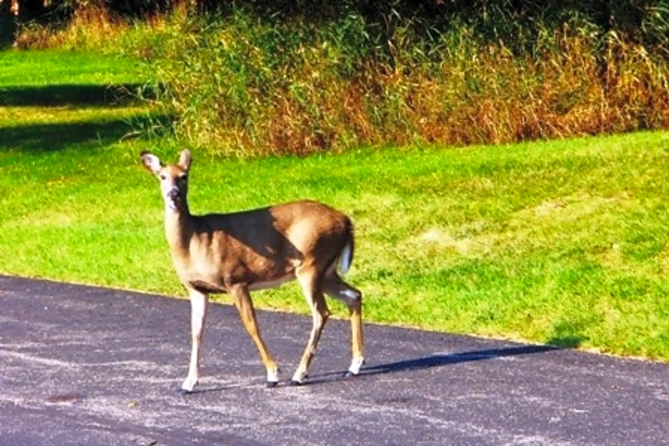 Pioneer Place Apartments 243 W Seward St WI Apartments