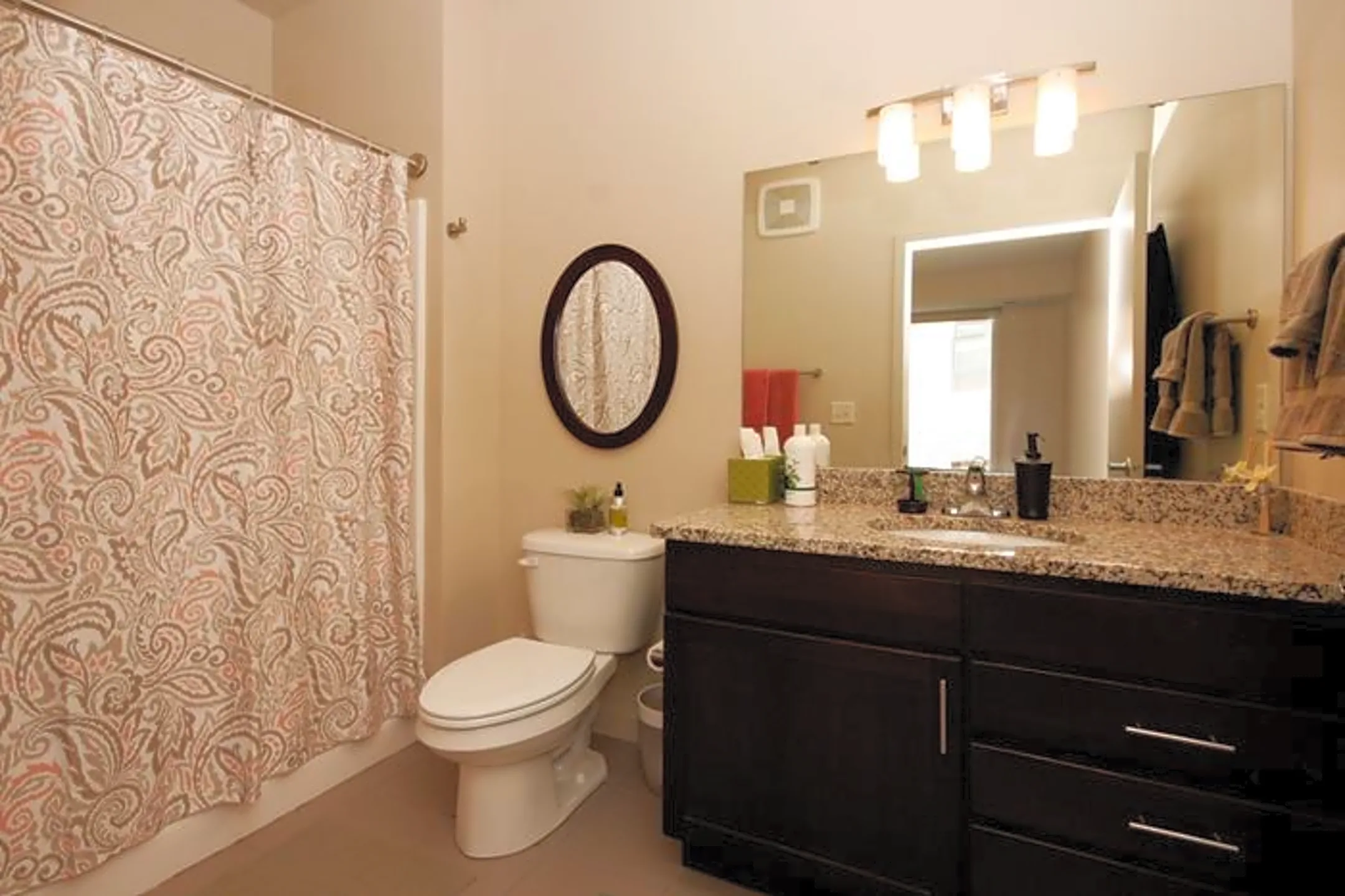 The Elysian Apartments 711 4th Street Southeast Minneapolis, MN