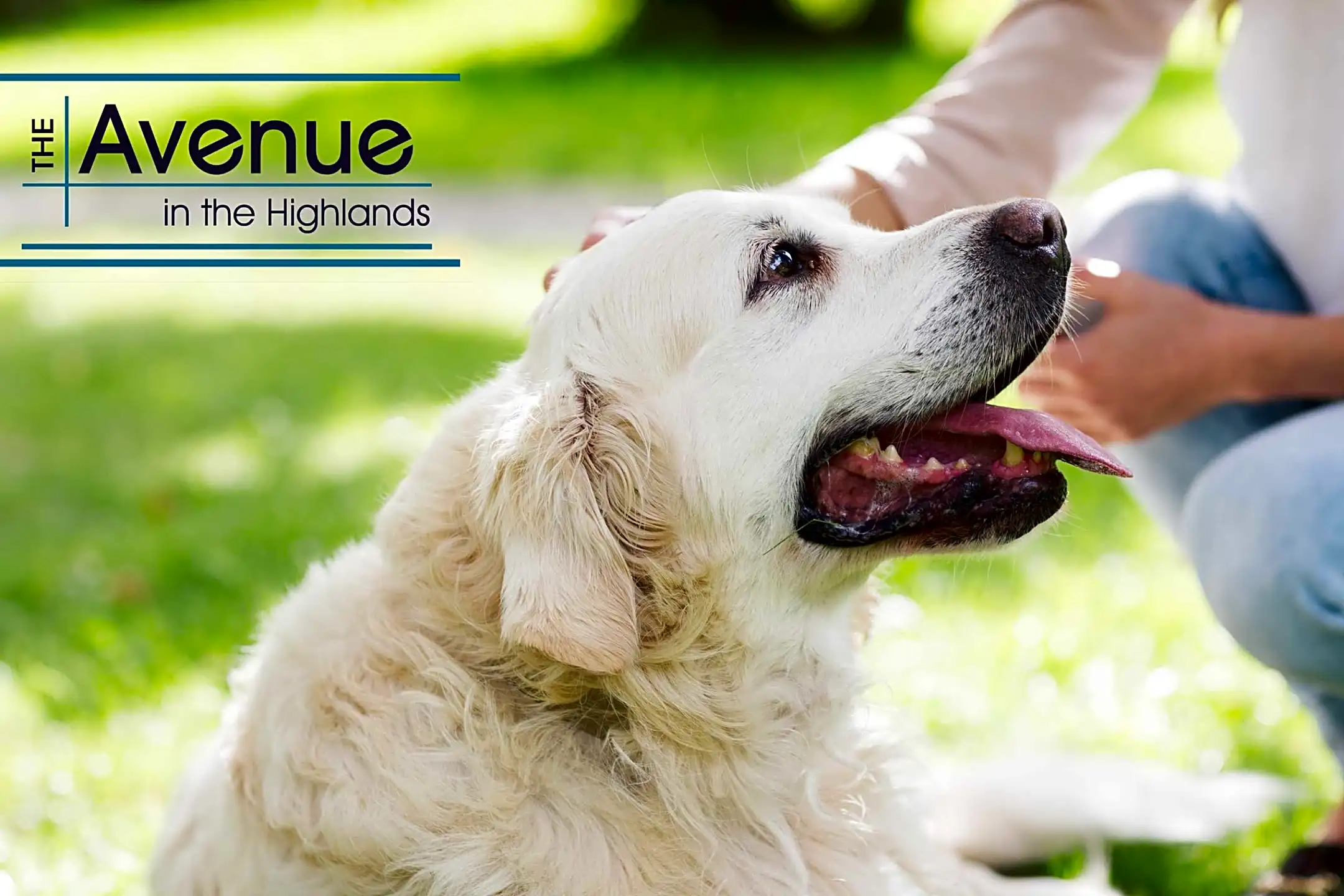 The Avenue in the Highlands 1031 Everett Ave Louisville, KY