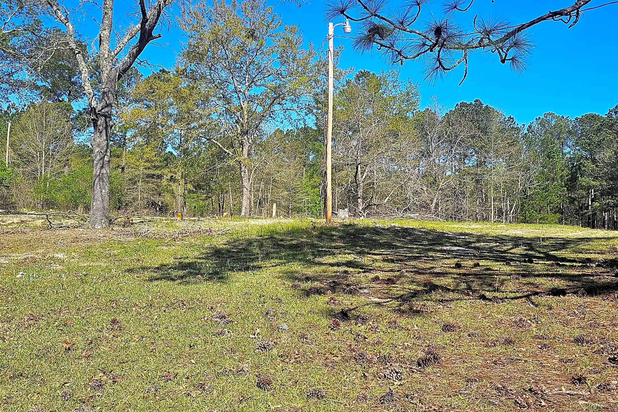 1208 Lassiter Jacobs Rd Houses Eastover, SC 29044