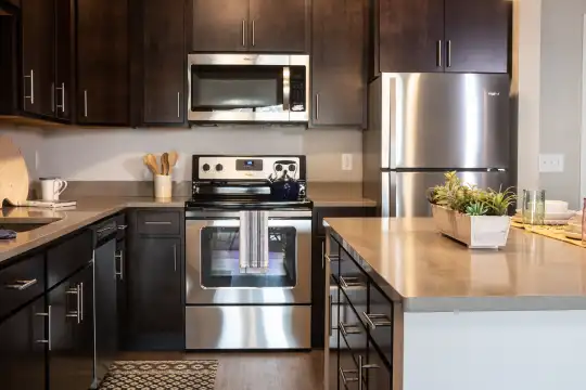 kitchen featuring electric range oven, stainless steel appliances, dark brown cabinets, and dark hardwood floors