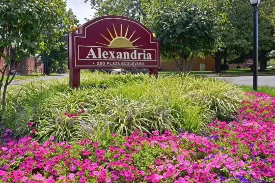 Alexandria Apartments Photo 1