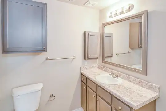 half bath featuring mirror, toilet, and vanity