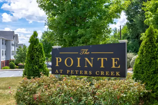 The Pointe at Peters Creek Photo 2
