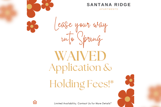 Santana Ridge Luxury Rentals Photo 1