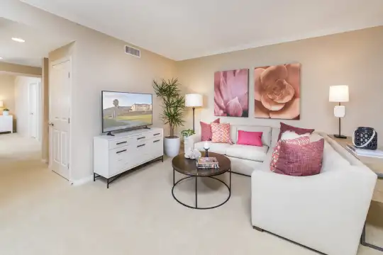 carpeted living room with TV