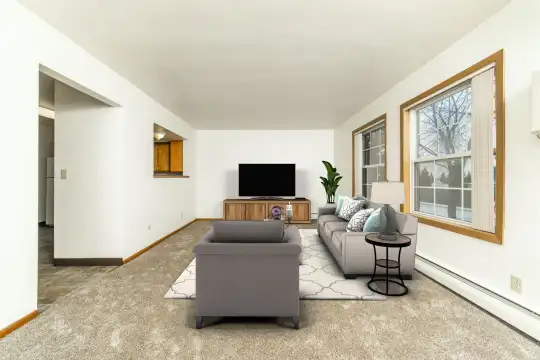 living room featuring carpet, natural light, baseboard radiator, and TV