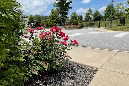 Seasons At Cane Creek Photo 1