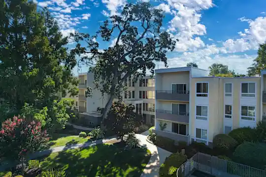 Pet Friendly Apartments in Walnut Creek, CA For Rent - 98 Apartments