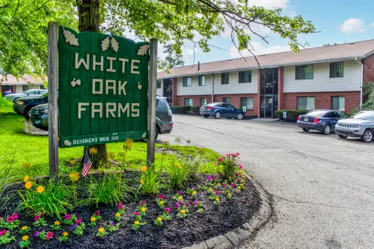 White Oak Farms Photo 1