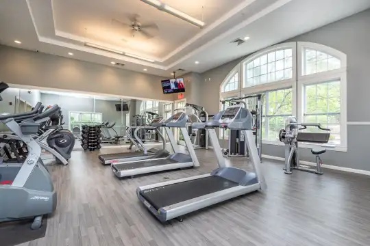 workout area with a ceiling fan, parquet floors, natural light, and TV