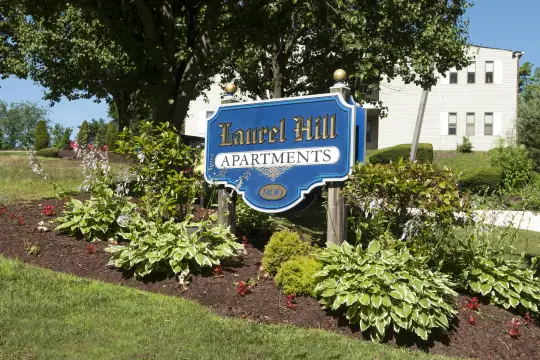 Laurel Hill Photo 1